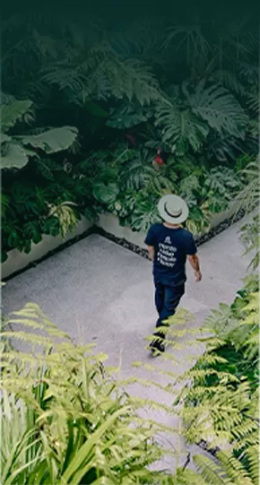 Văn phòng xanh trong lành